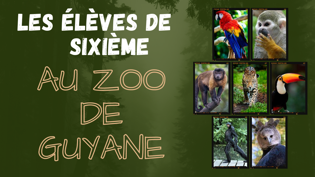 Les 6e au Zoo de Guyane